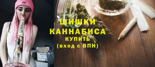 стаф Белокуриха