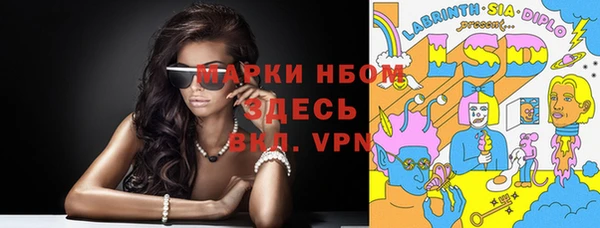 стаф Белокуриха