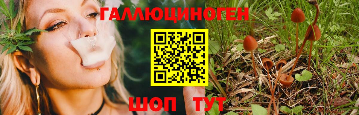 Псилоцибиновые грибы MAGIC MUSHROOMS Воскресенск